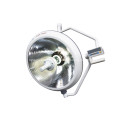 Veterinary equipment halogen lamp